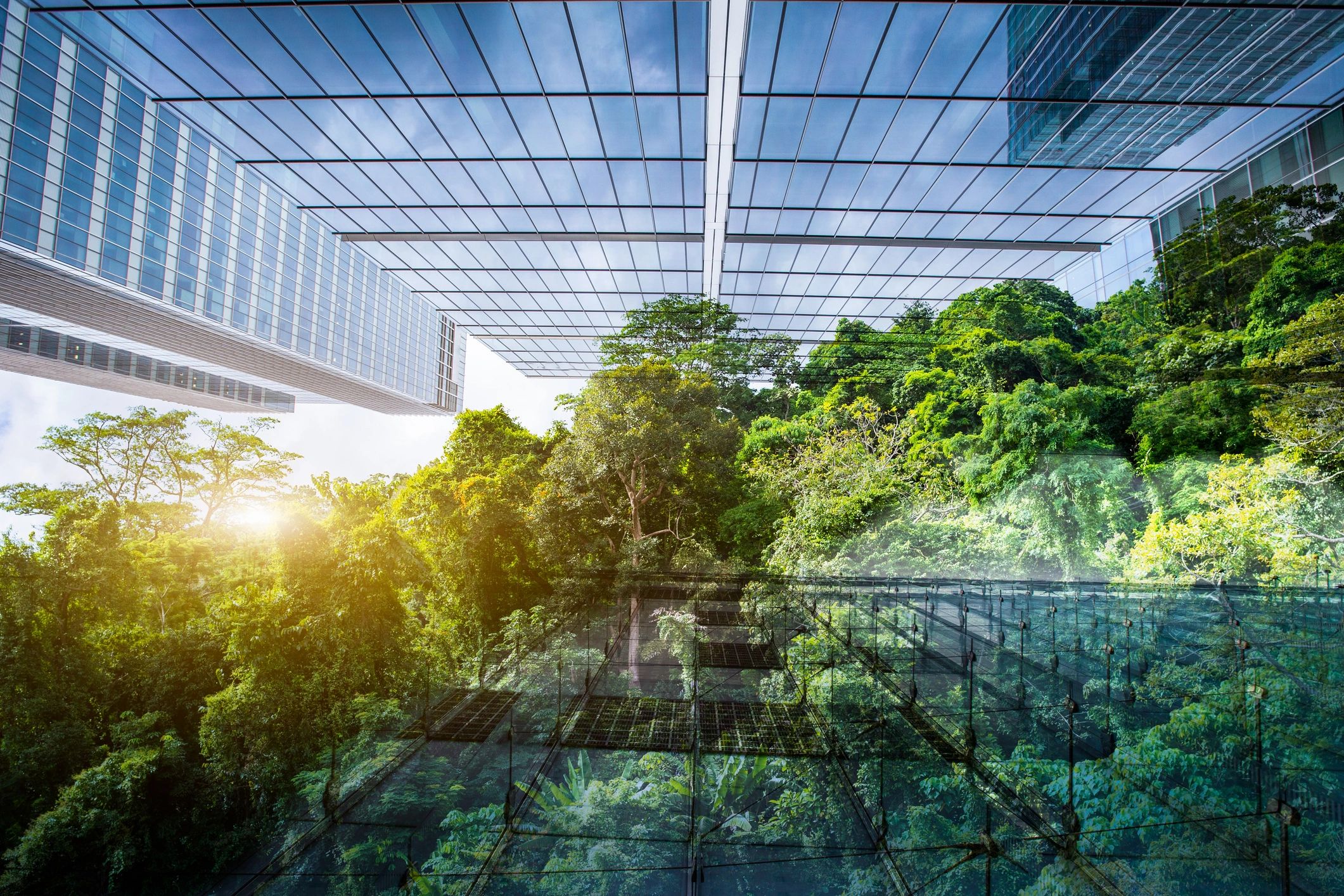 Sustainable construction practices